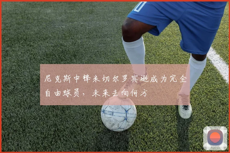 尼克斯中锋米切尔罗宾逊成为完全自由球员,未来去向何方